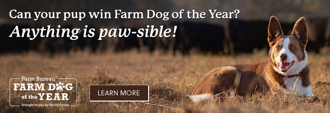 Farm Dog of the Year
