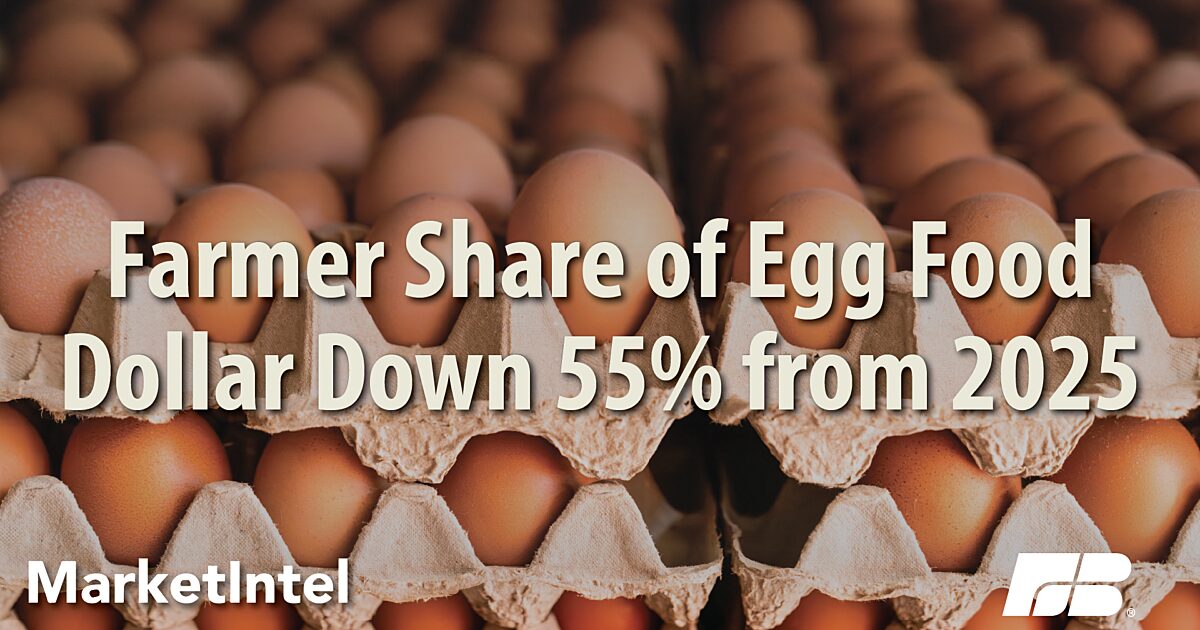 Egg Prices Fall Sharply, Squeezing Farmers Amid Oversupply