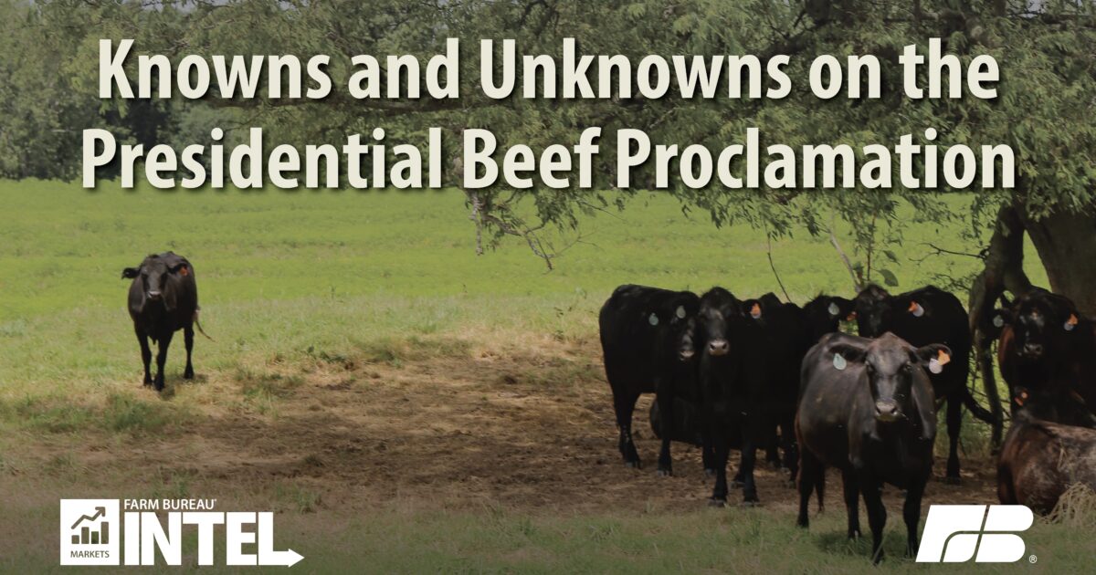 Knowns and Unknowns on the Presidential Beef Proclamation
