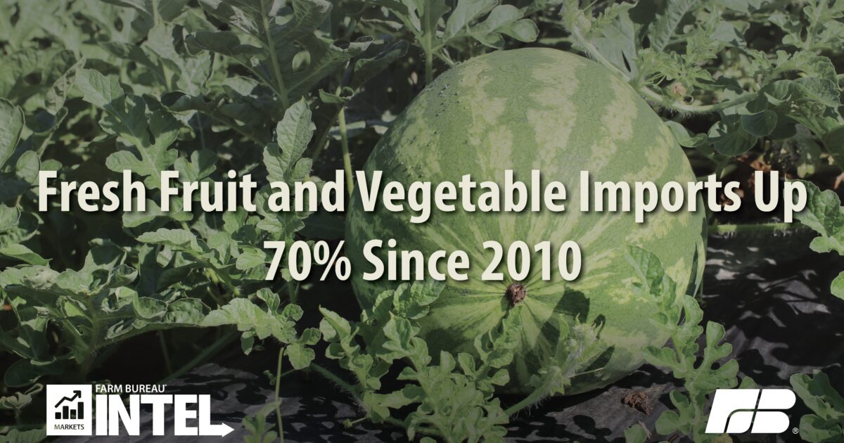 Competing Across the Calendar: The Growing Squeeze on U.S. Produce