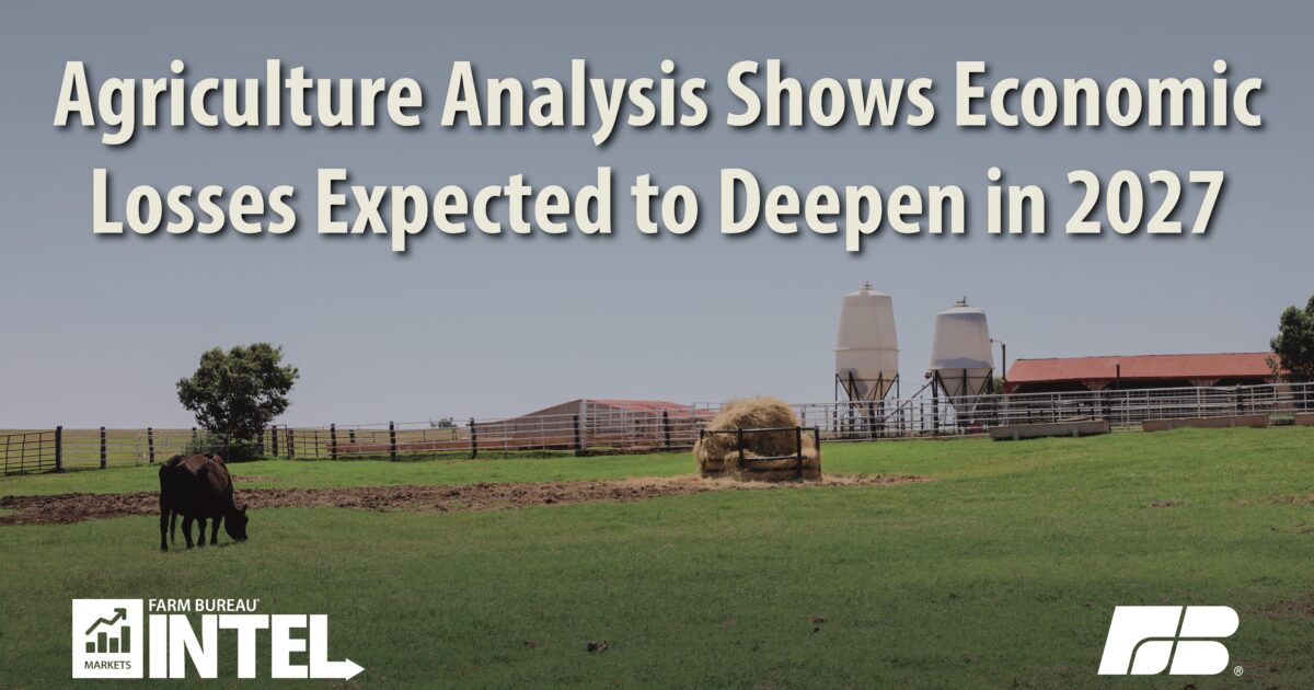 Persistent Losses Leave Farmers Needing Economic Support | Farm Bureau ...