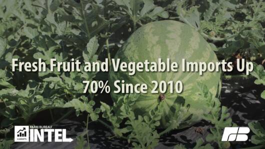Competing Across the Calendar The Growing Squeeze on U S Produce final