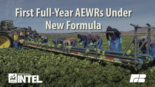 First Full Year Aewrs Under New Formula final