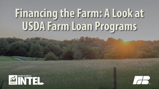 MI Pull Quote Financing the Farm A Look at USDA Farm Loan Programs