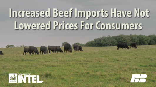 MI Pull Quote Increased Beef Imports Have Not Delivered Price Relief For Consumers draft 3