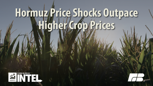 MI Pull Quote Prices and Input Costs