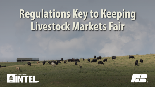 PI Pull Quote Packers and Stockyards Act Timeline of Failed Attempts at Competition Overhaul draft 2