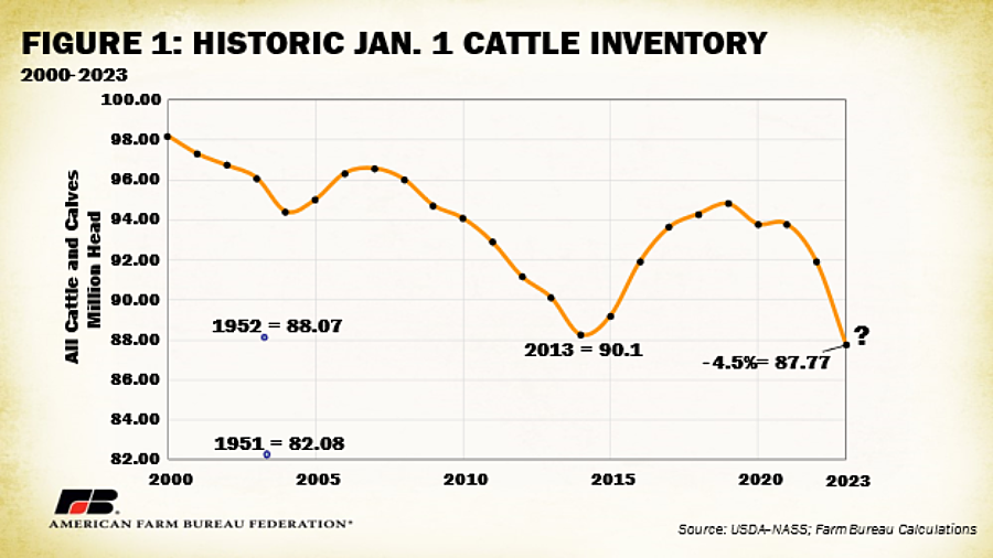 Let verden kobling 2023 Cattle Market Outlook | Market Intel | American Farm Bureau Federation