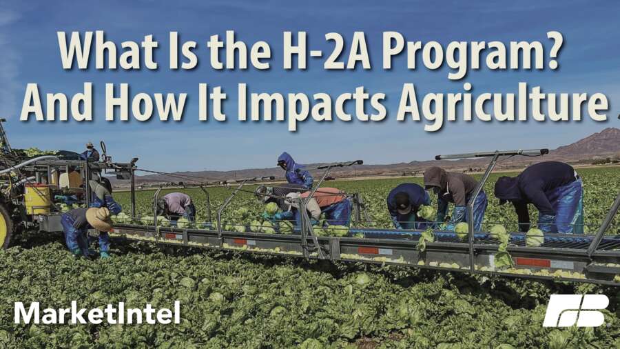 Debunking H-2A Myths | Market Intel | American Farm Bureau Federation