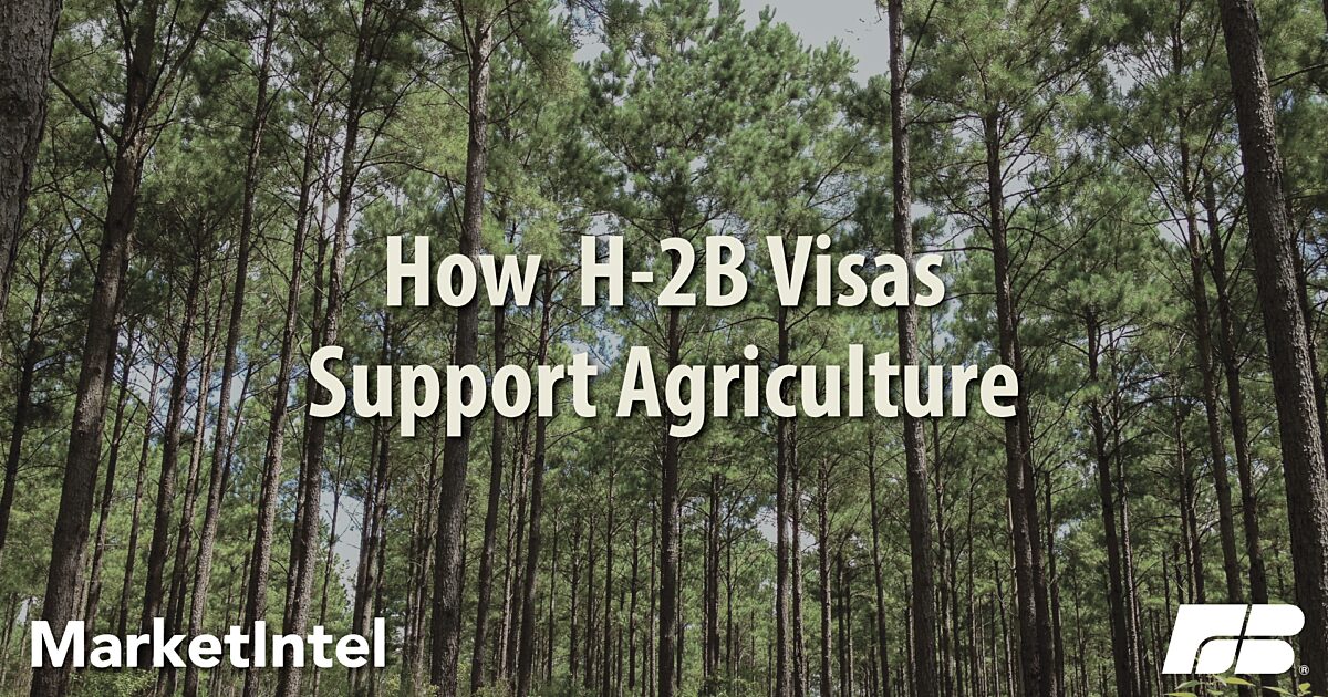 Agricultural Labor: The H-2B Program | Market Intel | American 