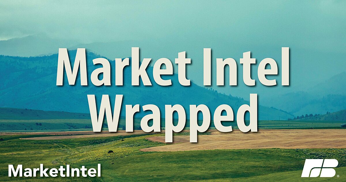 Market Intel Wrapped 2024 | Market Intel Market Intel Wrapped 2024 | Market Intel