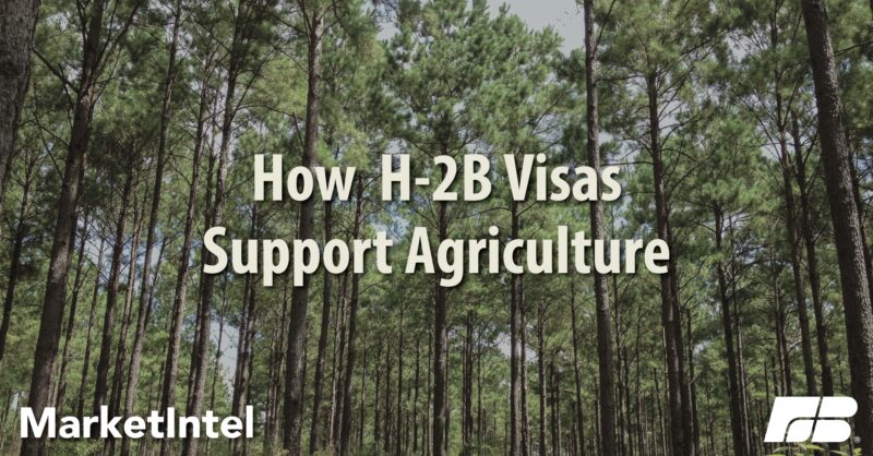 Agricultural Labor: The H-2B Program | Market Intel | American 