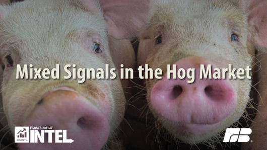 MI Pull Quote Hog Market at a Crossroads final
