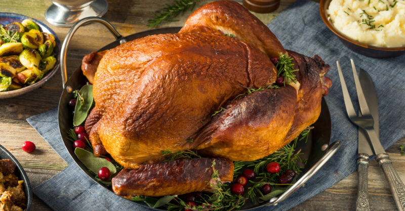 As Turkey Production Rises, Prices Drop, Just in Time for Thanksgiving - Vimarsana News