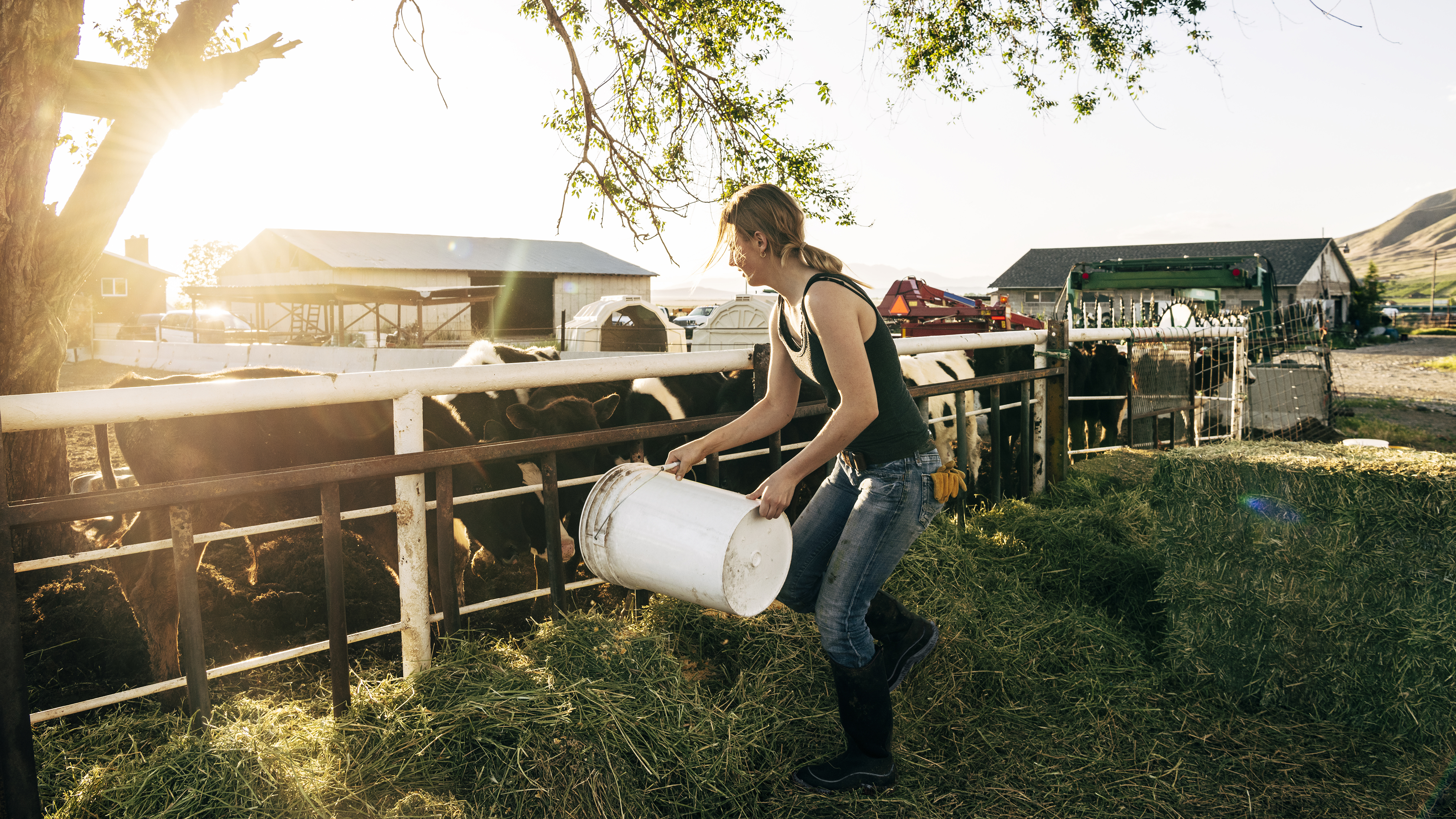 Farm work