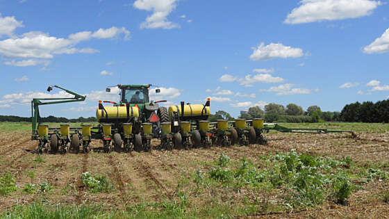 USDA Sets Spring Crop Insurance Prices | Newsline | American Farm ...