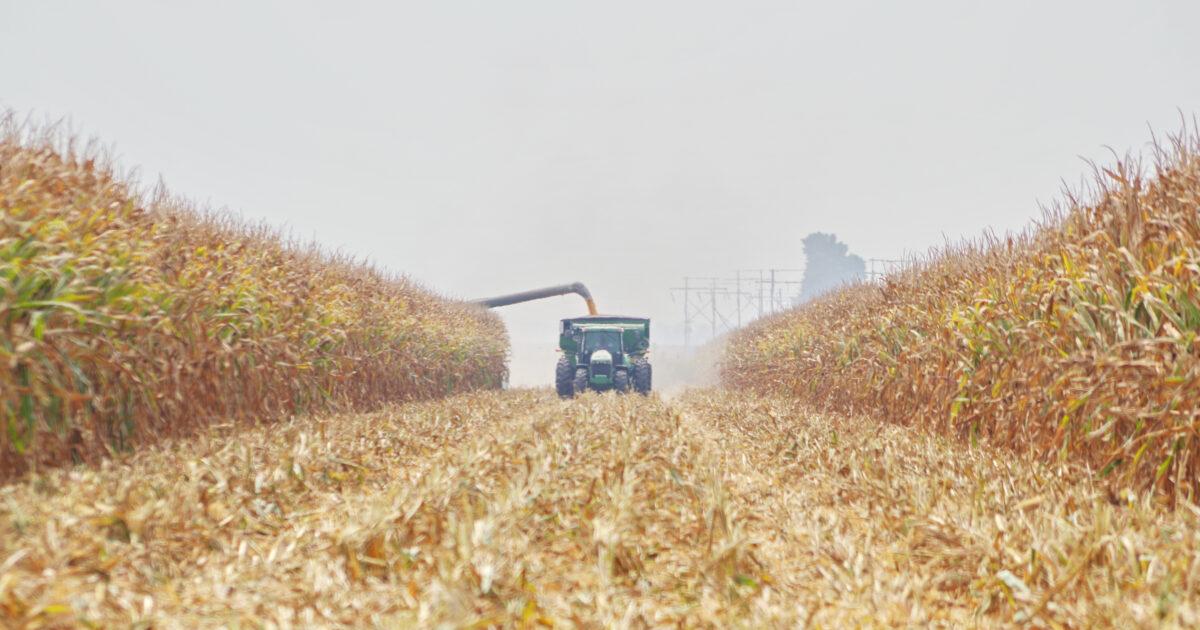 15 Fantastic Food and Farm Facts Focus on Ag American Farm Bureau