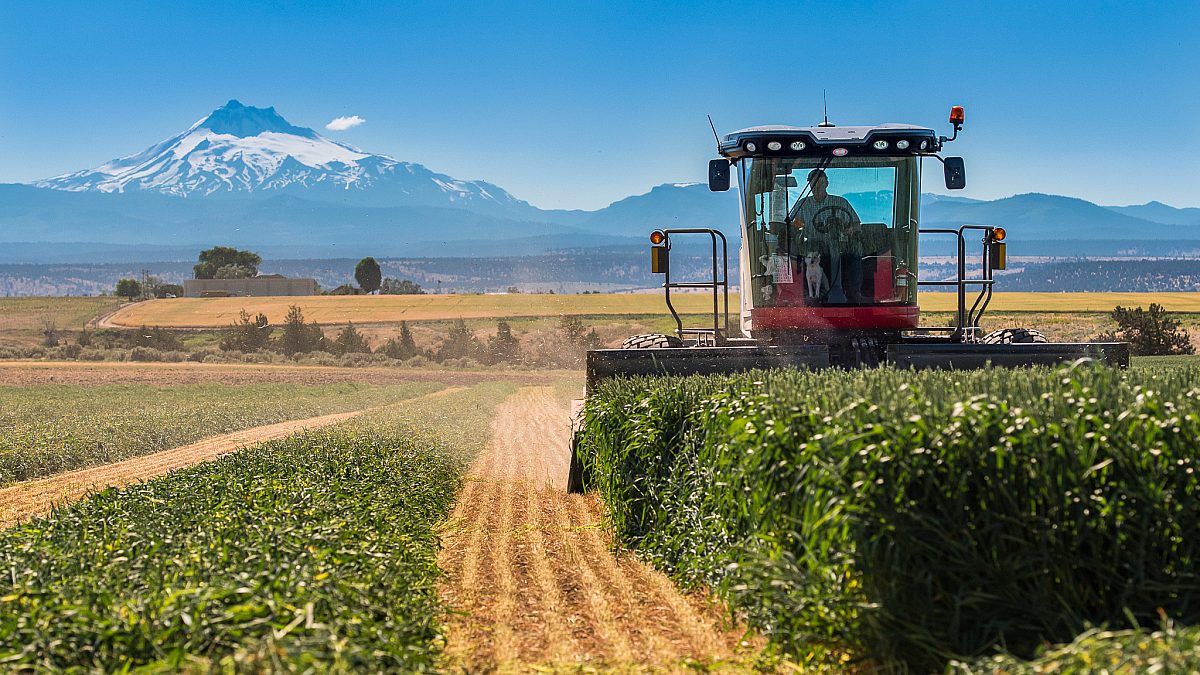 Blessed be the twine that binds - Agweek  #1 source for agriculture news,  farming, markets