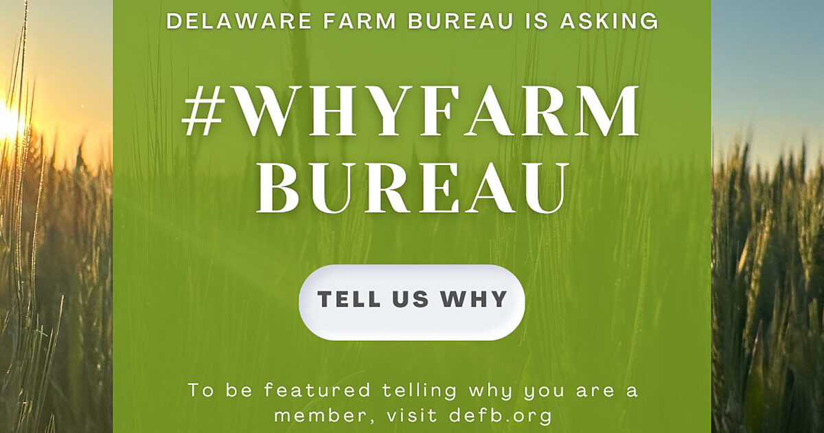 Delaware Farm Bureau Highlights #WhyFarmBureau on Facebook, Instagram ...
