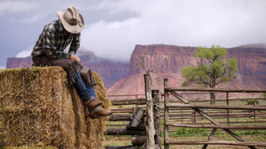 Utah Farm Bureau rancher 2