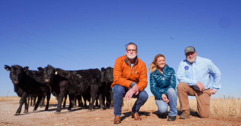 Leading the Way with Agricultural Innovation - Vimarsana News