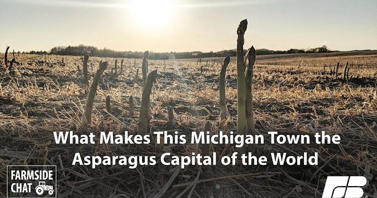 What Makes This Michigan Town the Asparagus Capital of the World