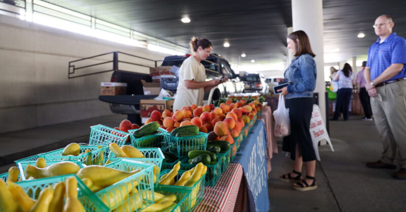 USDA Data Reveals Shifts in Food Purchasing Behavior - Vimarsana News