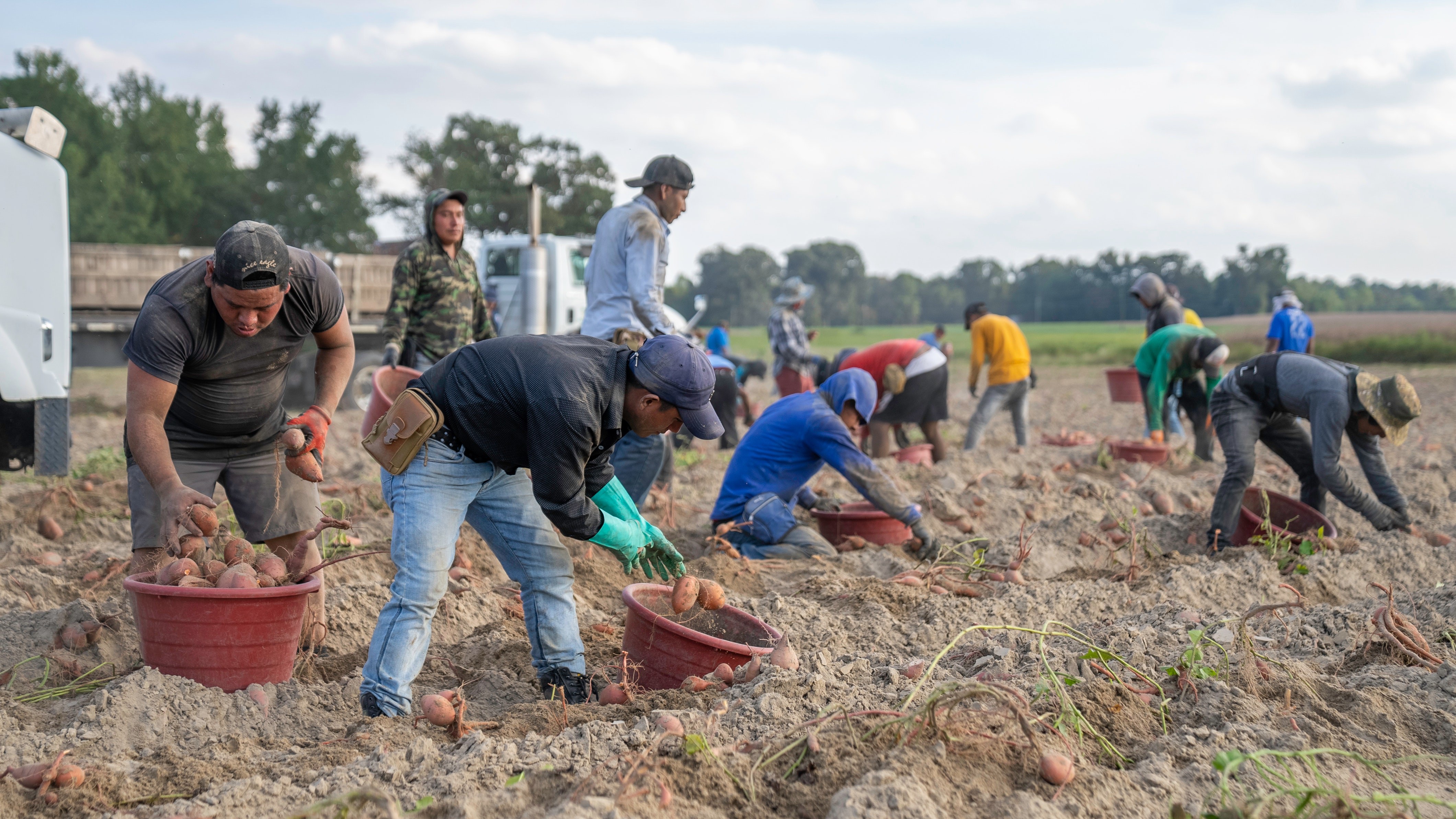 NCFB Mark Stebnicki Farm Labor feat