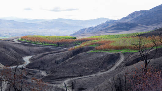 AFBF_Wildfires