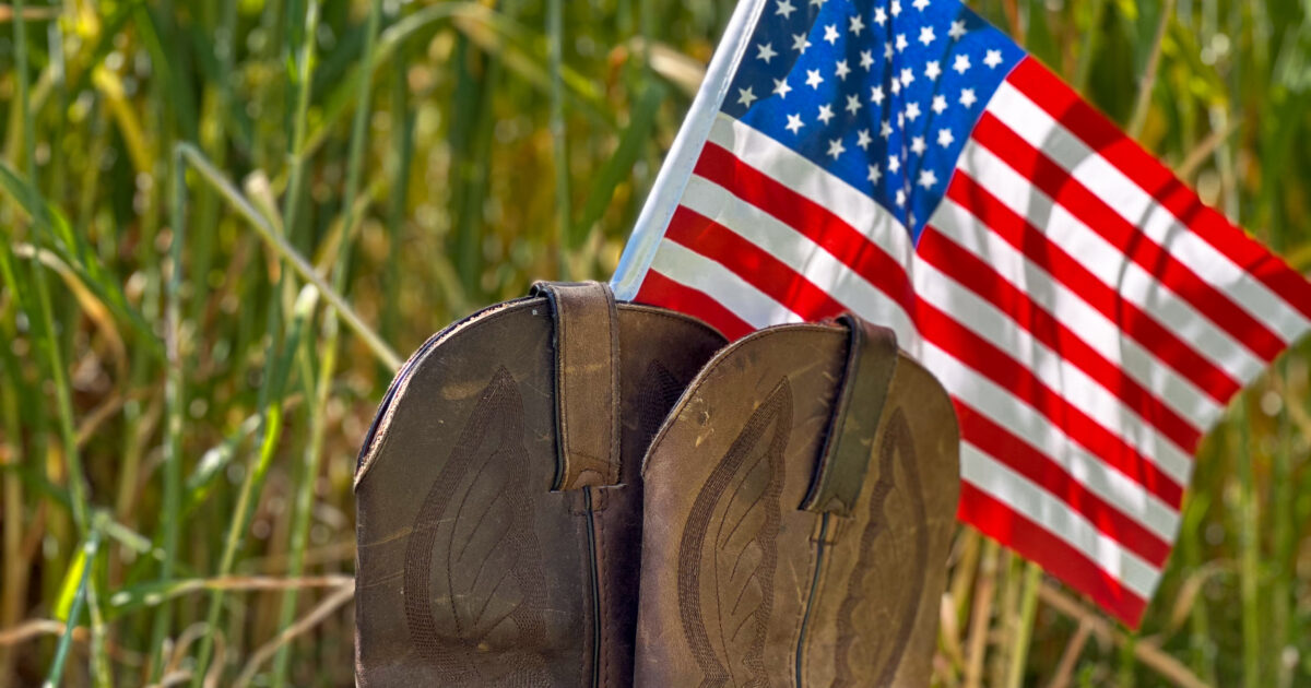 South Carolina Farmer wins the AFBF Veteran Farmer Award of Excellence ...