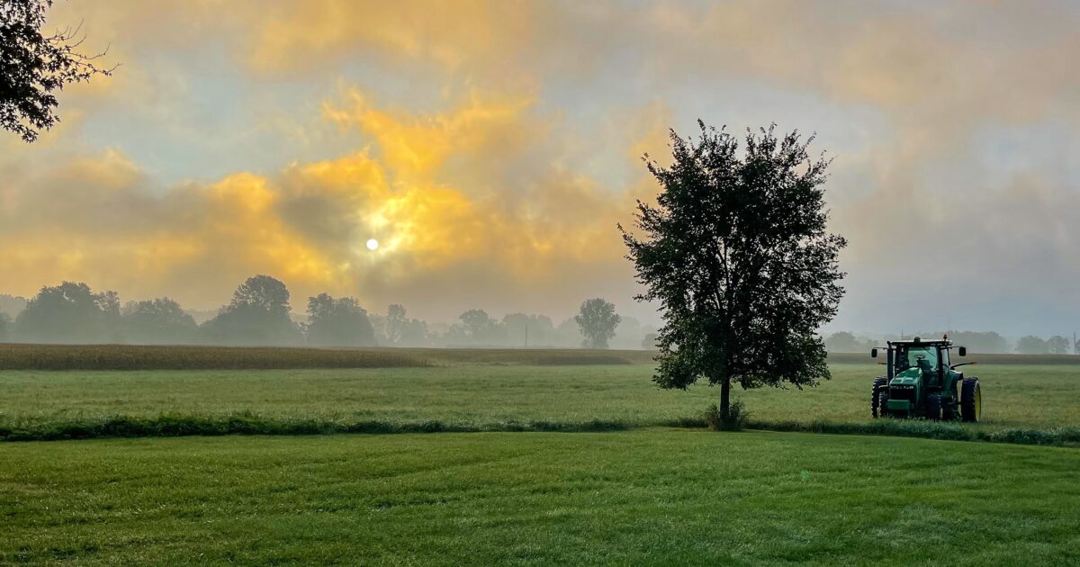 Championship Sunday Menu Football, Food and Farming News Release