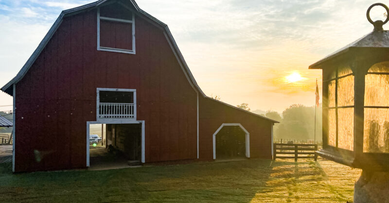 Decoding the Definitions of Adjusted Gross Income and Actively Engaged in Farming for Payment Eligibility Requirements - Vimarsana News