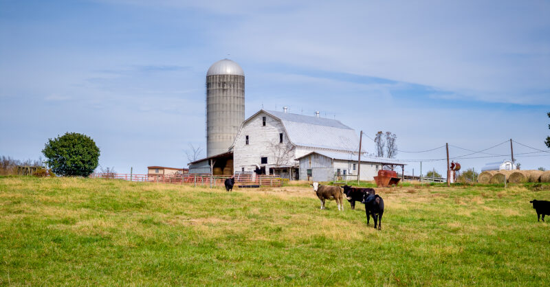 Latest USDA Forecast: Smaller – but Still Significant – Farm Income Drop - Vimarsana News