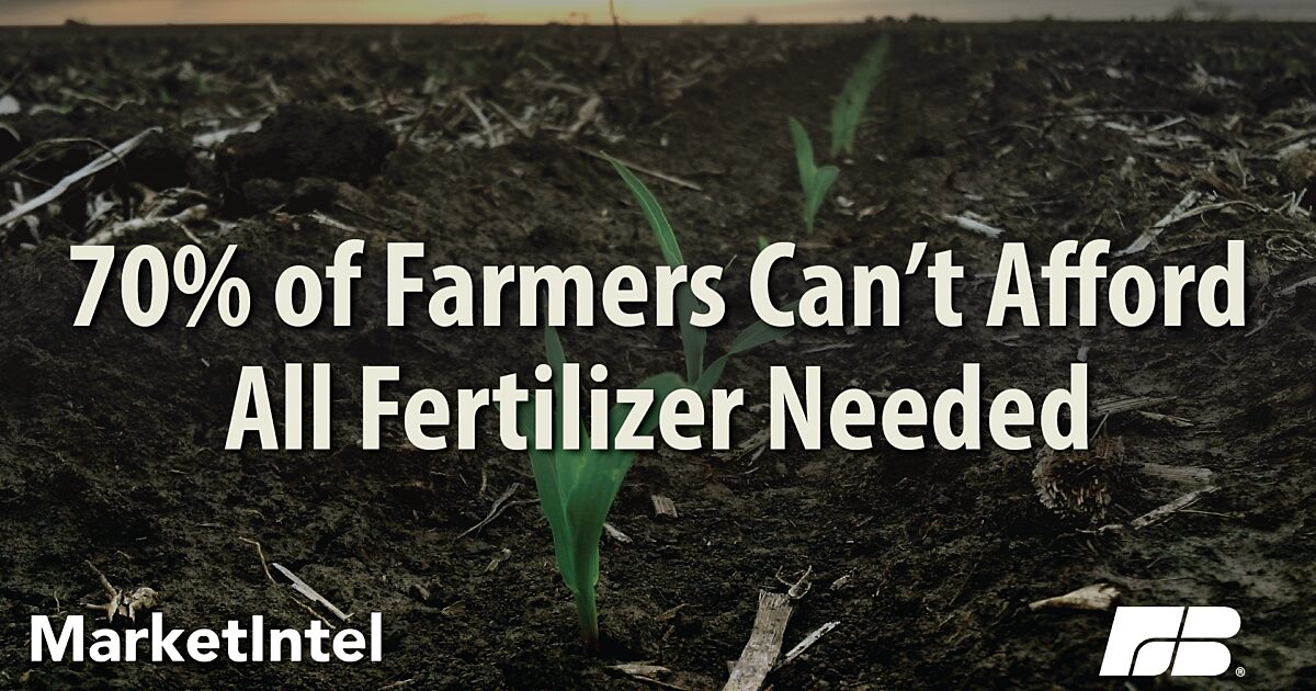 Farm Bureau Survey Reveals Real Impact of Fertilizer Availability and Price