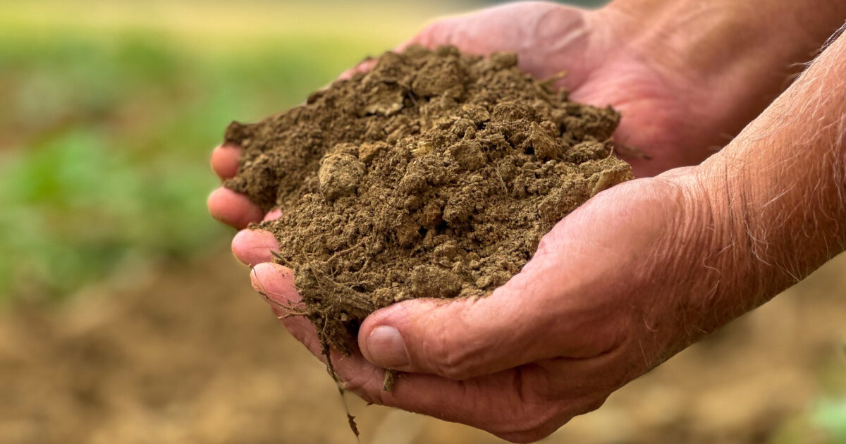 Modern agriculture puts soil health first | Tyrolean