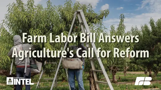 PI Pull Quote Securing Agricultures Workforce Act of 2026 A Proposal That Answers the Call final